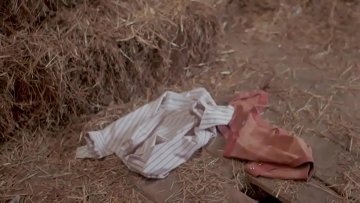 fulfills sexual fantasies stables